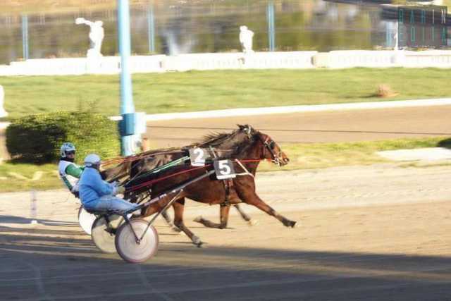 Taranto, un giorno all'ippodromo: tra corse, scommesse, cavalli e drivers